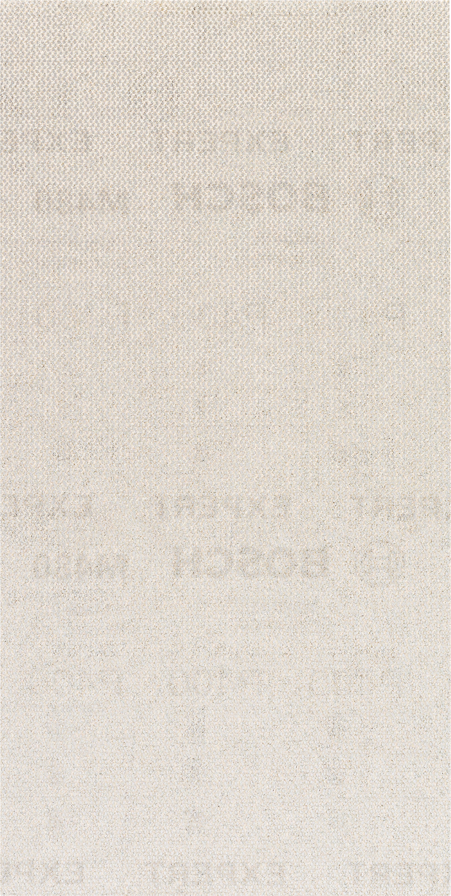 Bosch Professional Expert M480 Sanding Net for Orbital Sanders - 115 x 230 mm, G 100