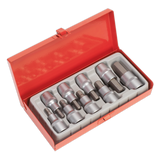 Sealey Hex Socket Bit Set 9pc 1/2"Sq Drive