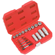 Sealey Bolt, Stud & Screw Extractor Set 18pc