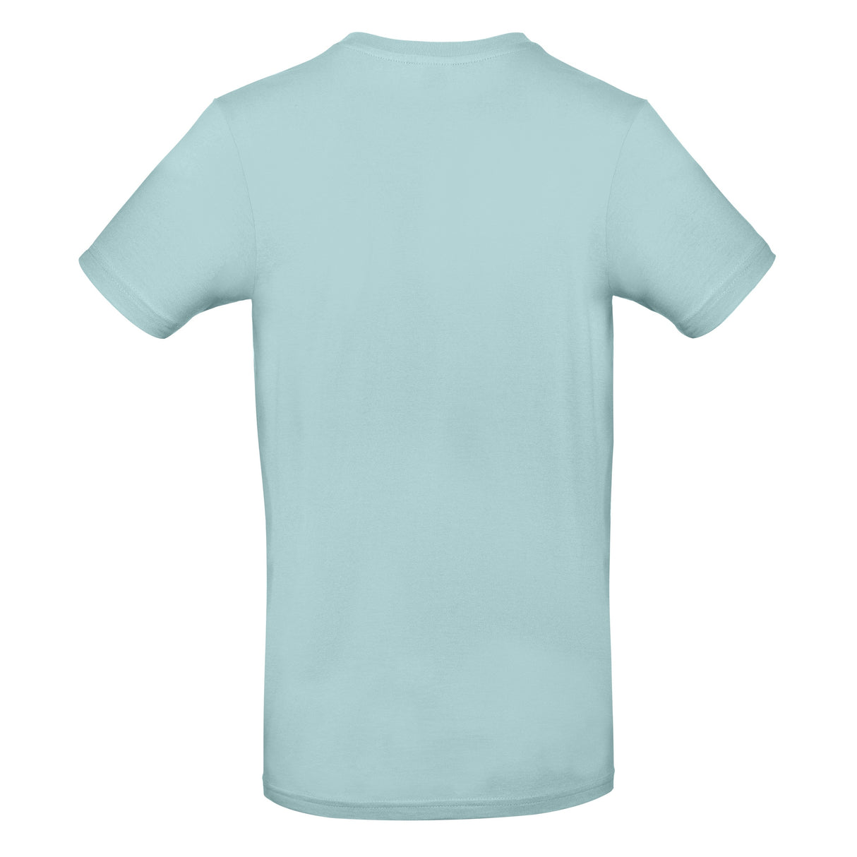 B&C Collection #E190 - Millennial Mint