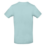 B&C Collection #E190 - Millennial Mint