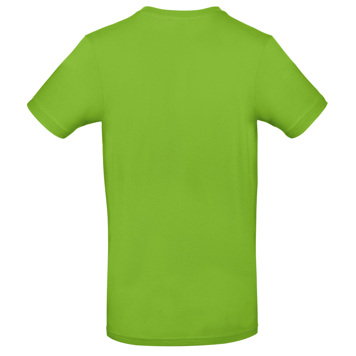 B&C Collection #E190 - Orchid Green