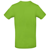 B&C Collection #E190 - Orchid Green