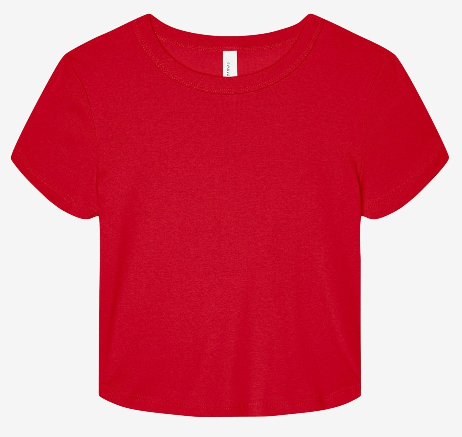 Bella Canvas Women's Micro Rib Baby T-Shirt