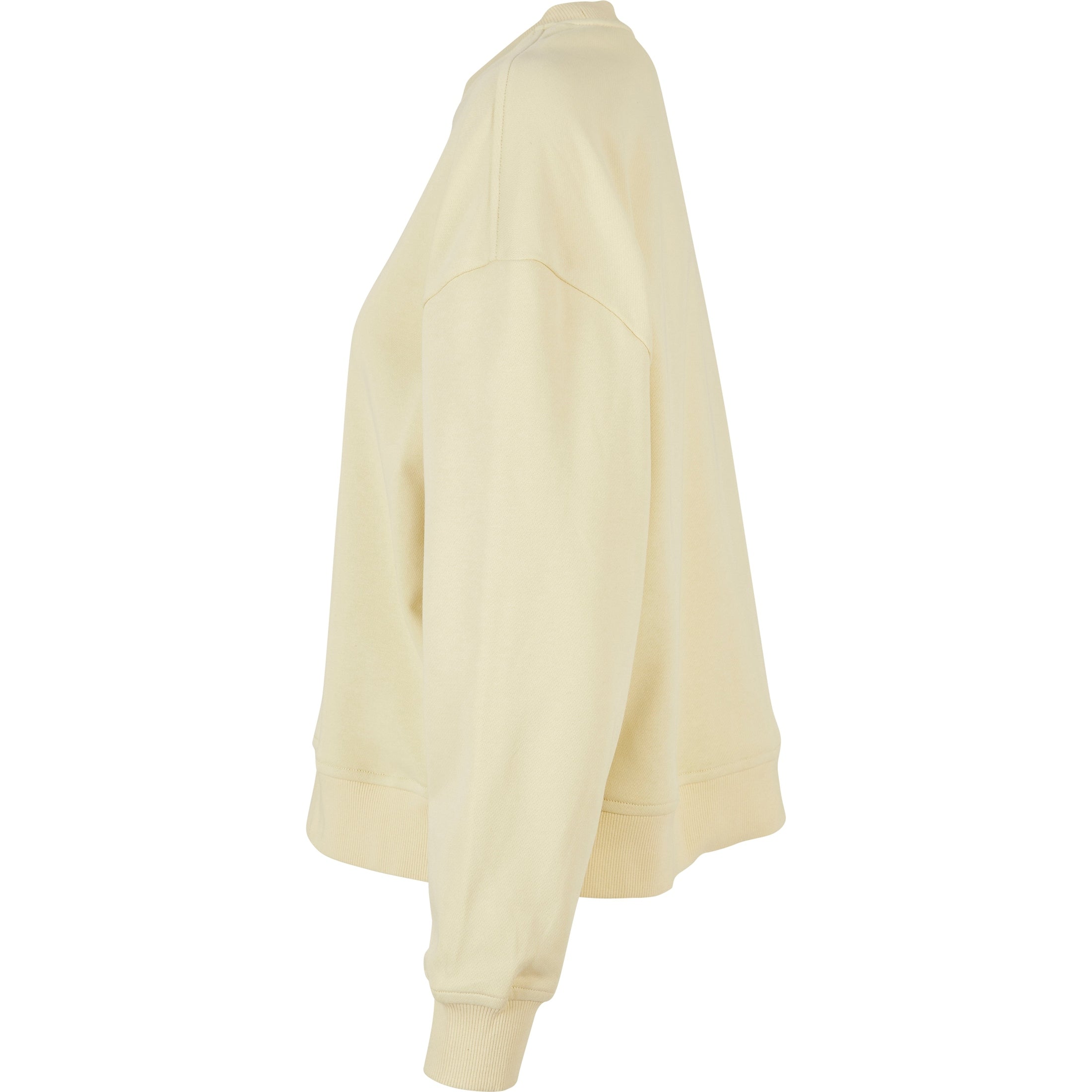 Build Your Brand Women's Oversized Crew Neck Sweatshirt