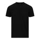 Gildan Softstyle Cvc Adult T-Shirt