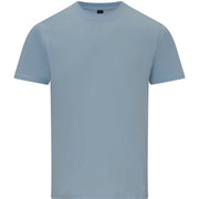 Gildan Softstyle Midweight Adult T-Shirt - Light Blue