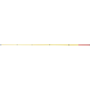 Delta Plus LV400 Telescopic Pole