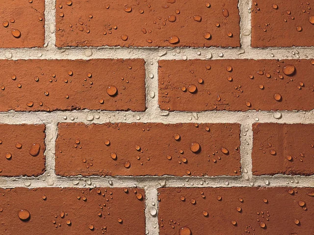 Ronseal Thompson's One Coat Water Seal 5 litre