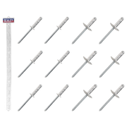 Sealey Clip Strip Deal - Aluminium Rivets