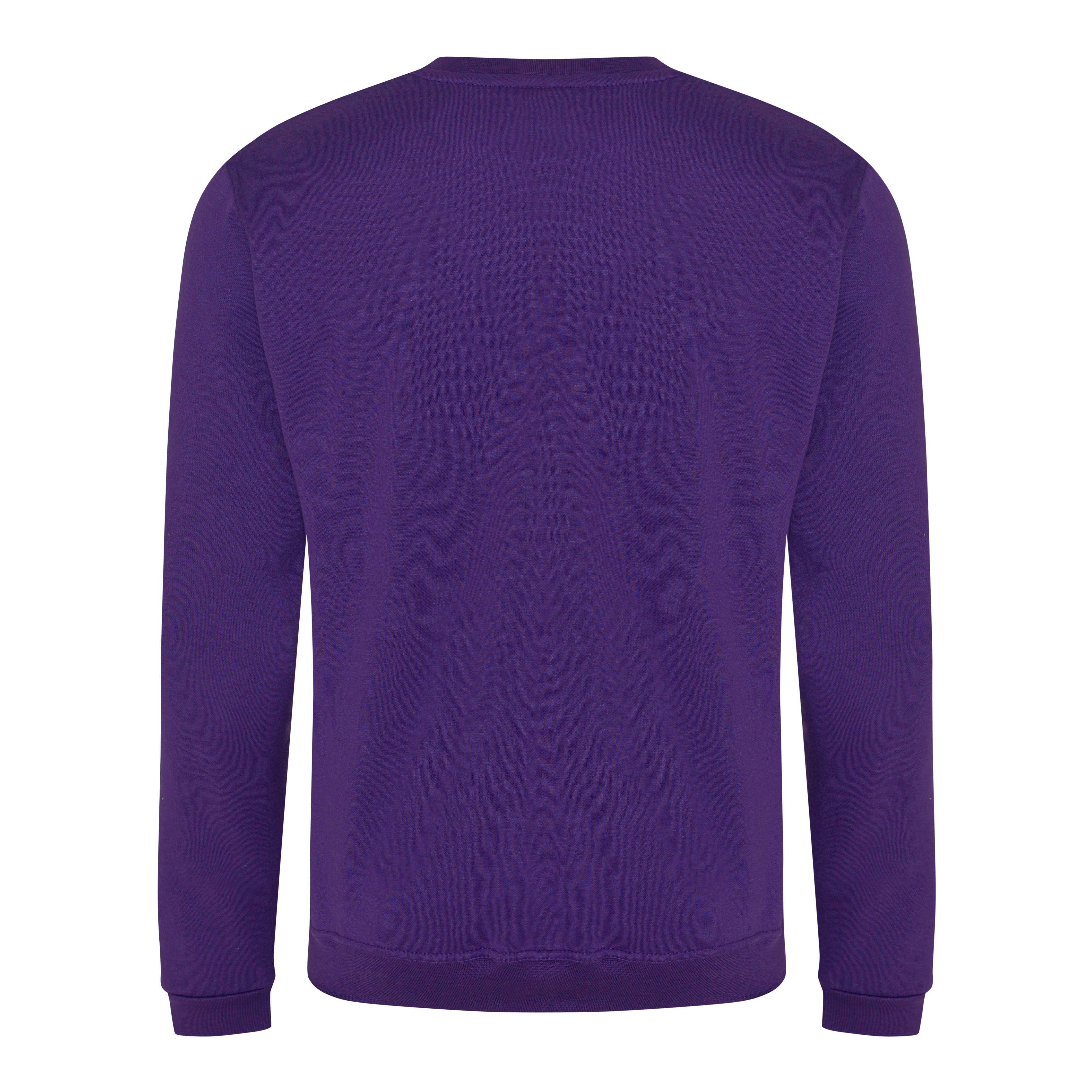 Prortx Pro Sweatshirt - Purple