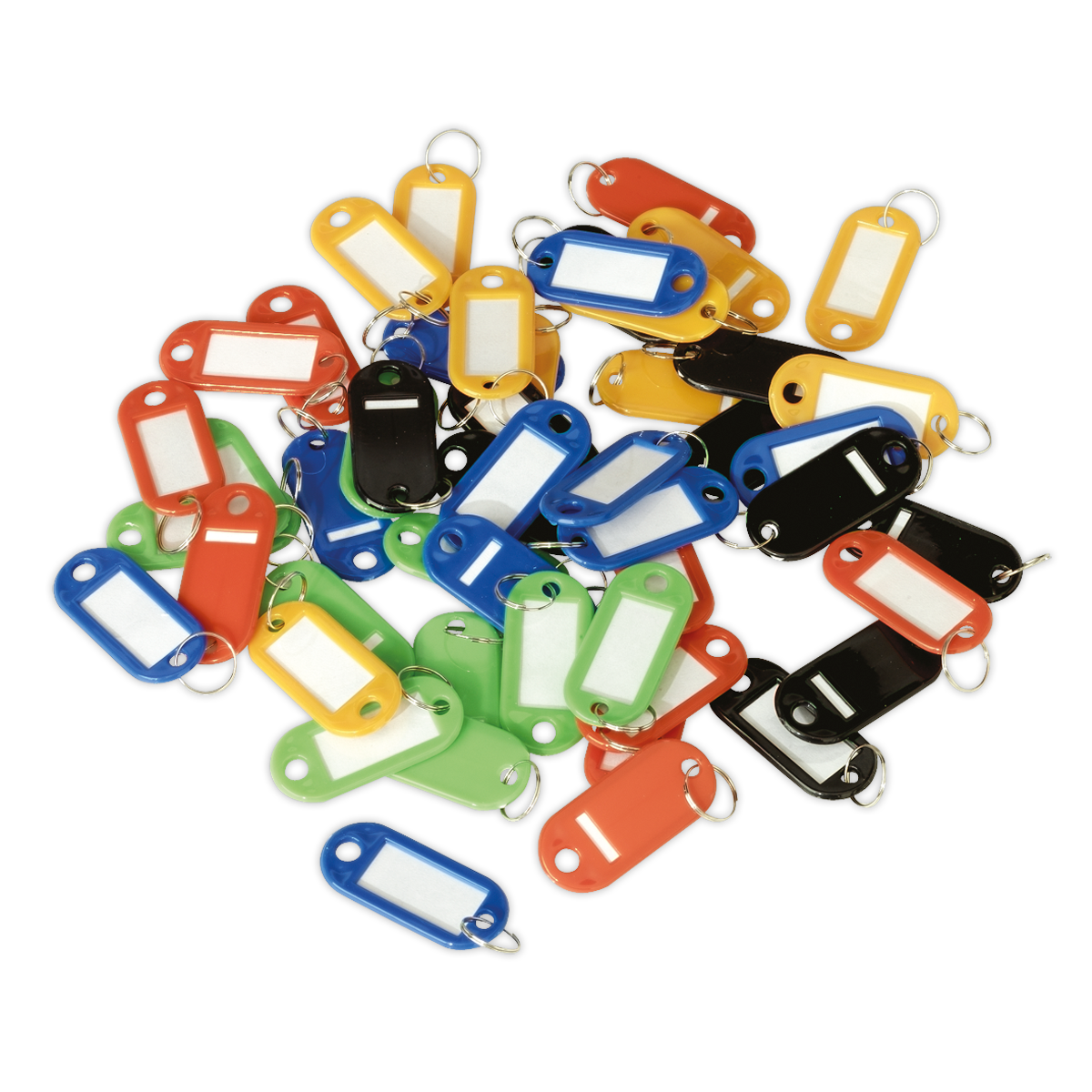 Sealey Key Tag Assortment 50pc