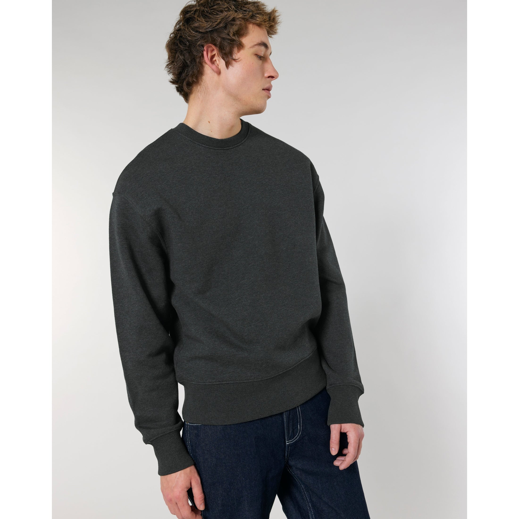 Stanley/Stella Radder Oversized Brushed Crewneck (Stsu857)