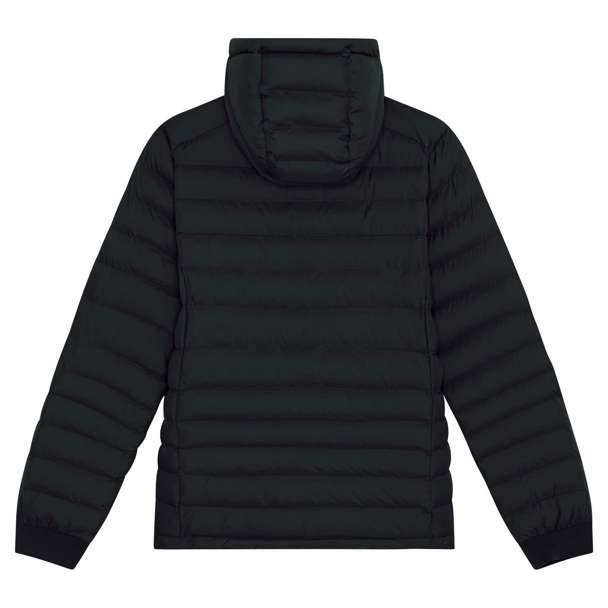 Stanley/Stella Stella Voyager Jacket With Removable Hood (Stjw839)