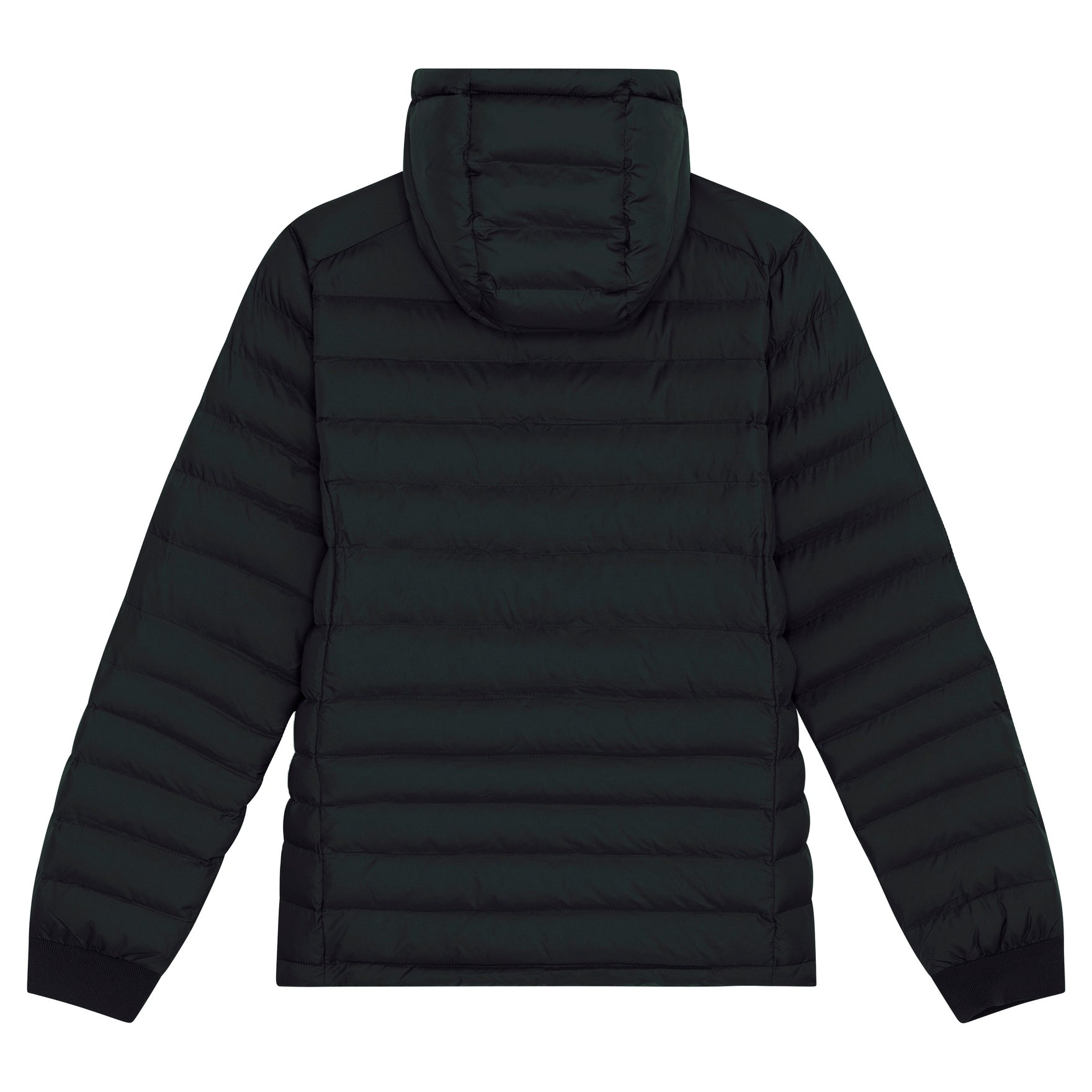 Stanley/Stella Stella Voyager Jacket With Removable Hood (Stjw839)