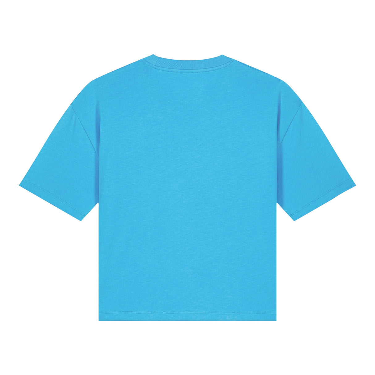 Stanley/Stella Women's Stella Nova Boxy T-Shirt (Sttw175)