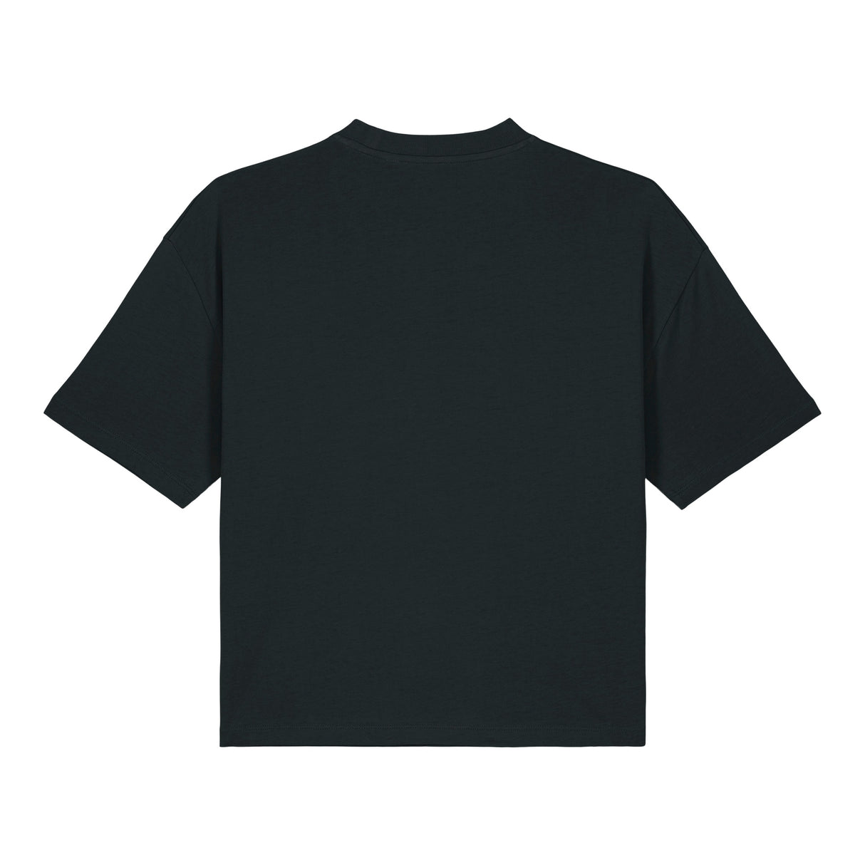 Stanley/Stella Women's Stella Nova Boxy T-Shirt (Sttw175)