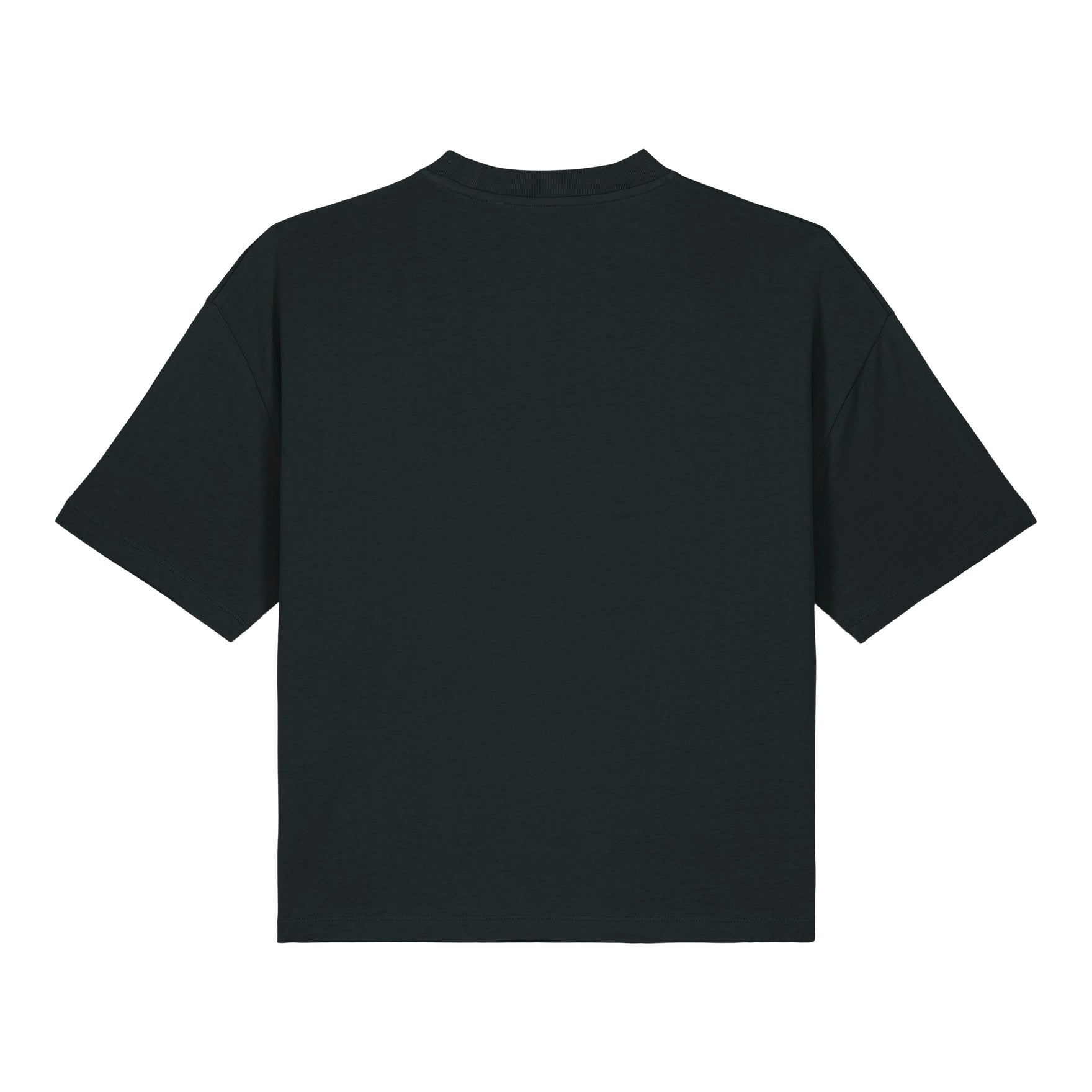 Stanley/Stella Women's Stella Nova Boxy T-Shirt (Sttw175)