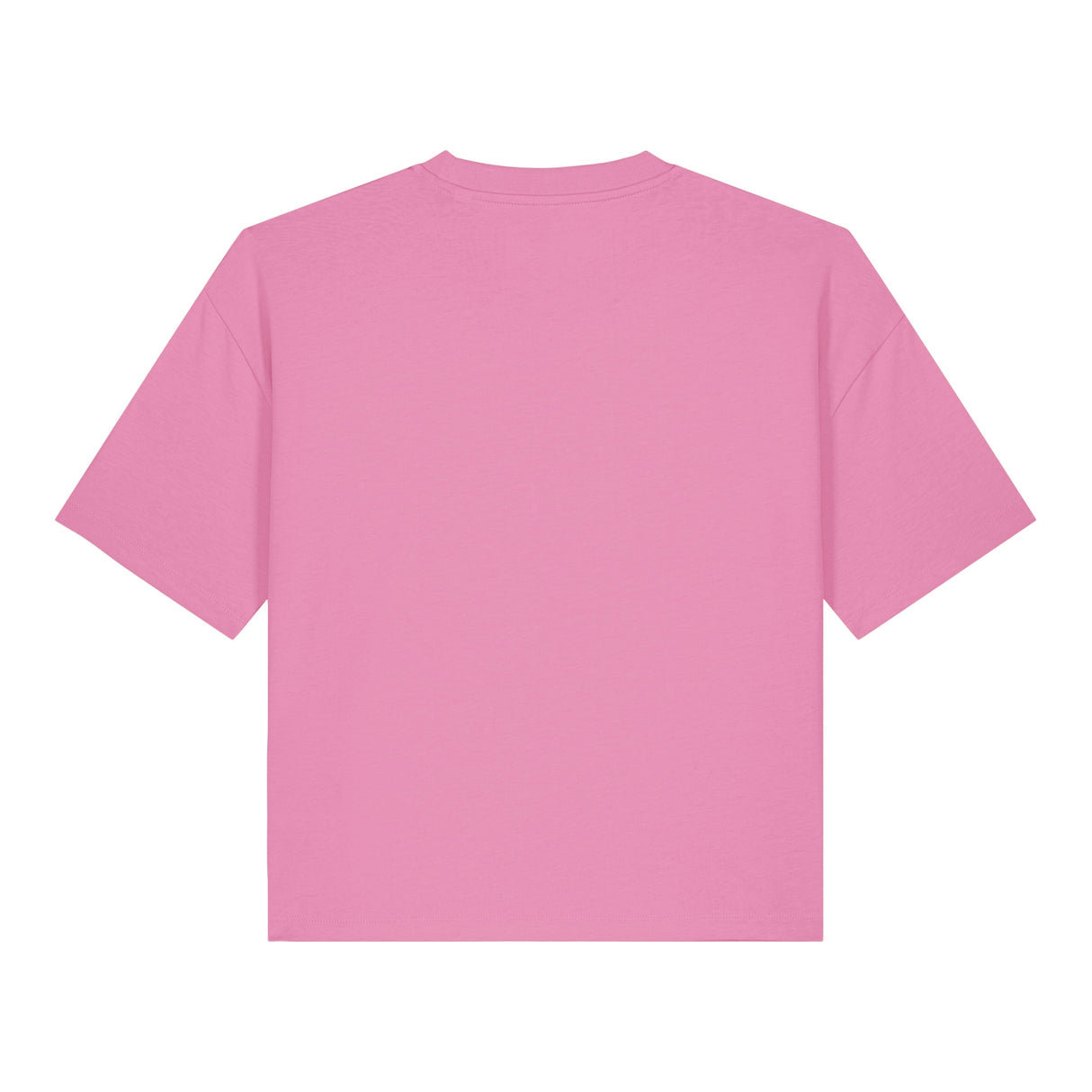Stanley/Stella Women's Stella Nova Boxy T-Shirt (Sttw175)