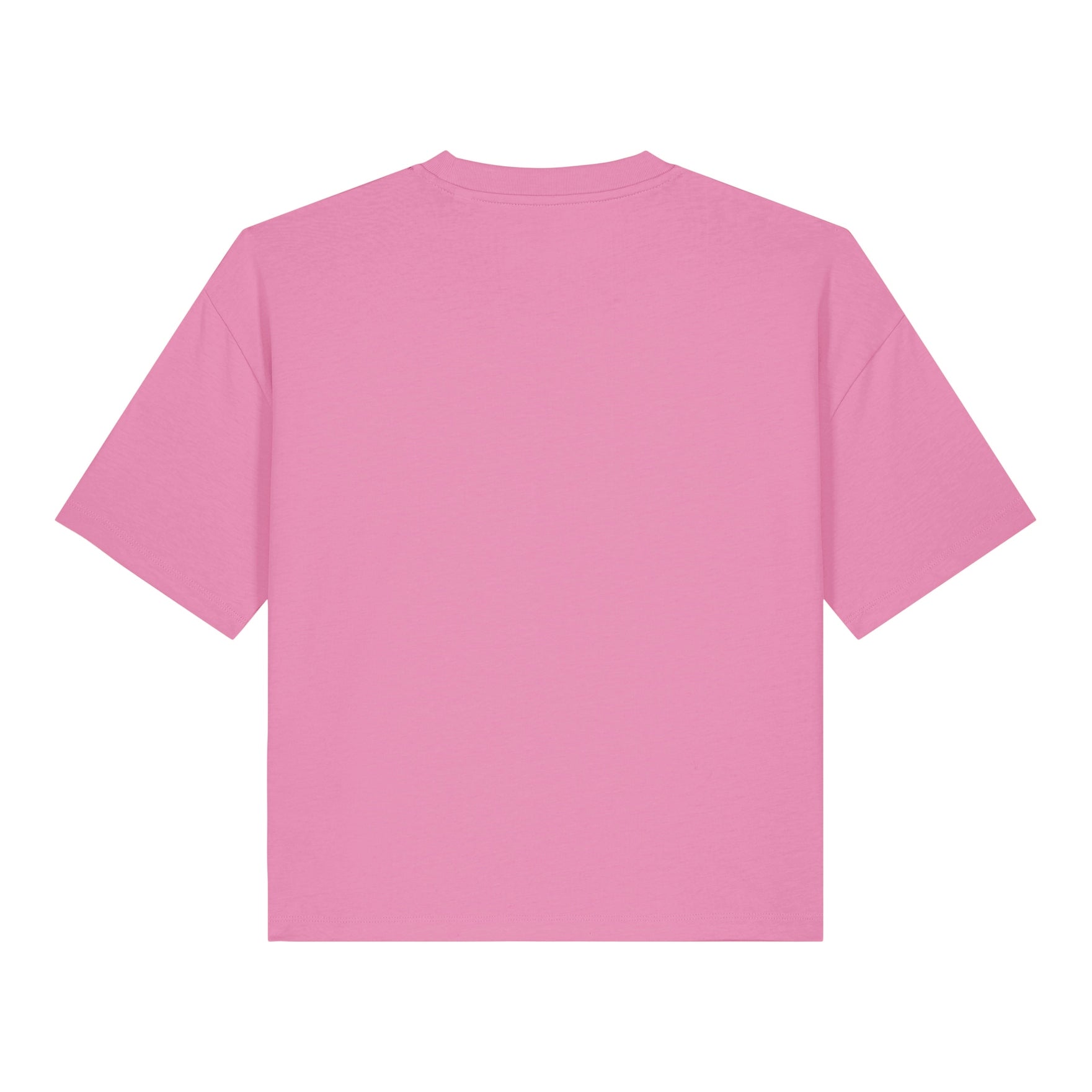 Stanley/Stella Women's Stella Nova Boxy T-Shirt (Sttw175)