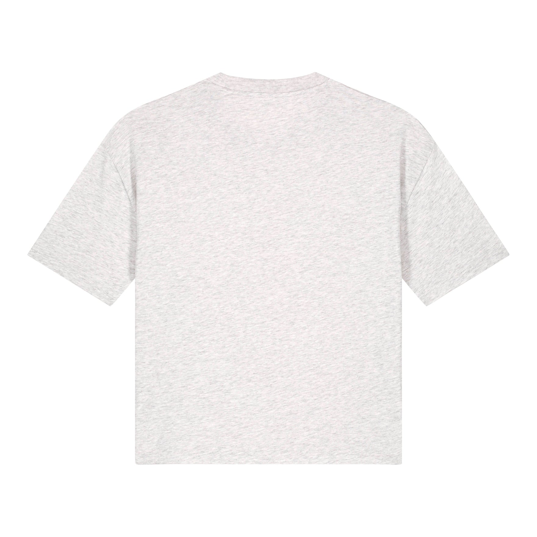 Stanley/Stella Women's Stella Nova Boxy T-Shirt (Sttw175)