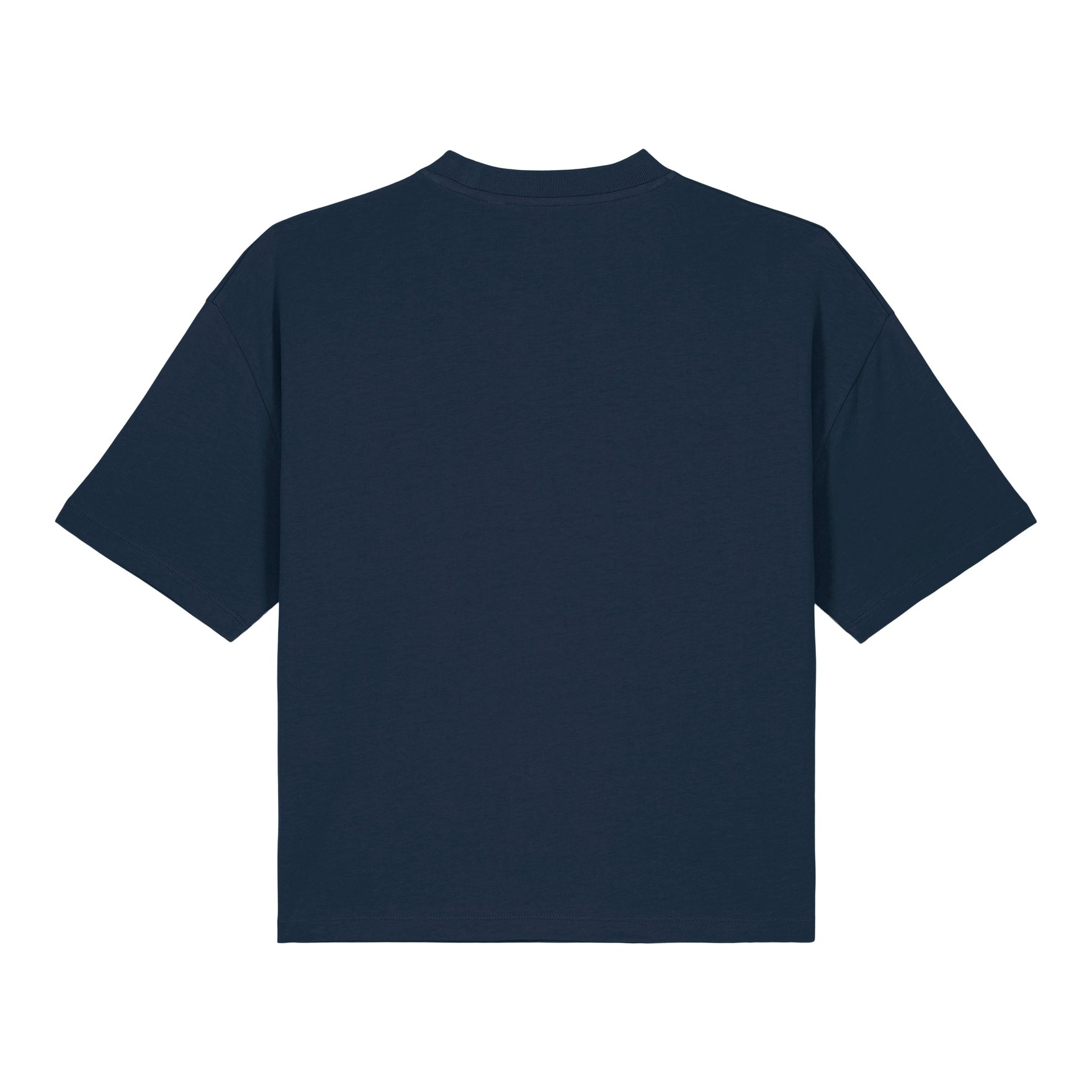 Stanley/Stella Women's Stella Nova Boxy T-Shirt (Sttw175)