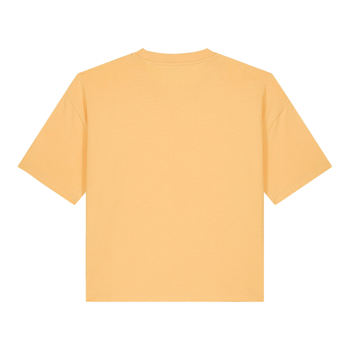 Stanley/Stella Women's Stella Nova Boxy T-Shirt (Sttw175)