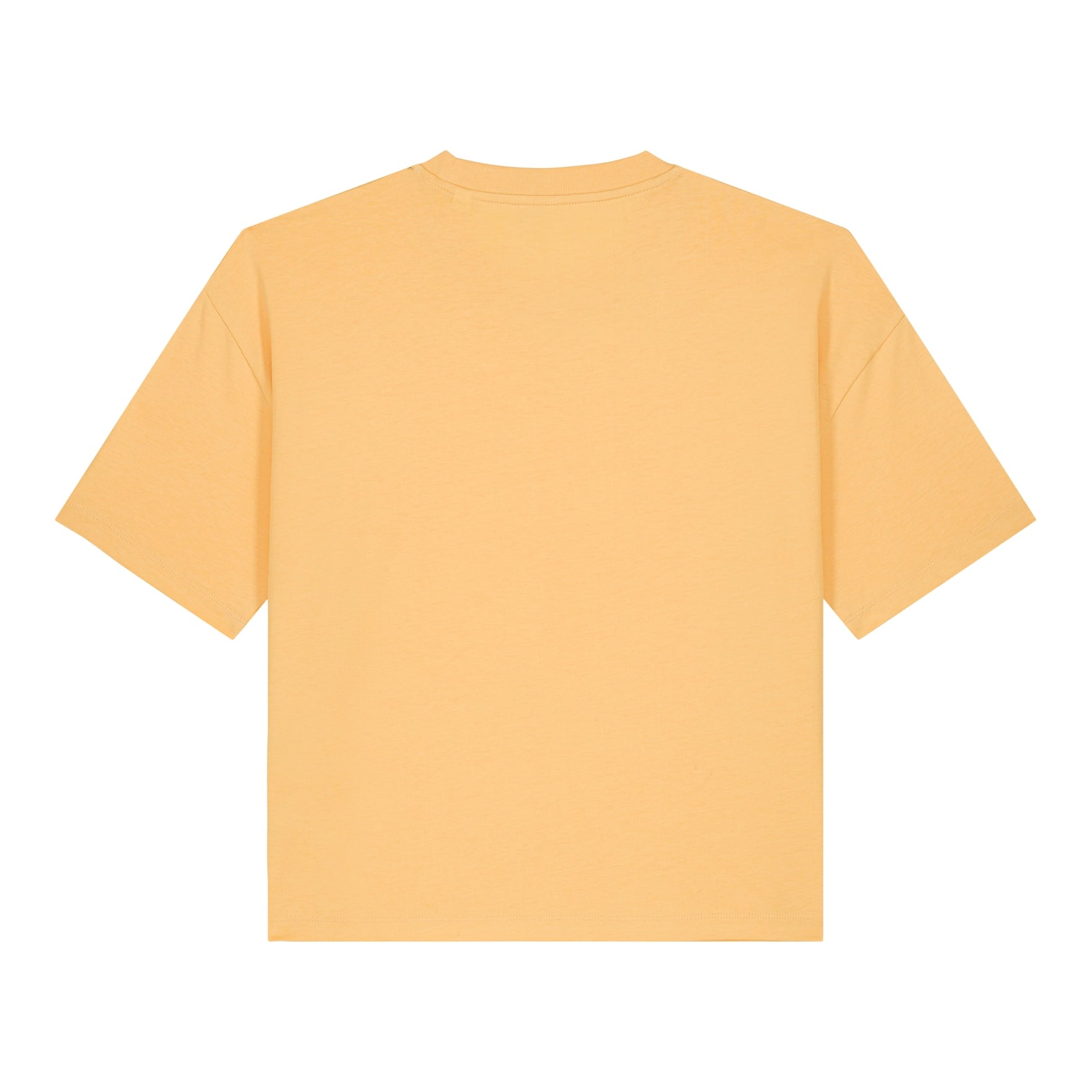 Stanley/Stella Women's Stella Nova Boxy T-Shirt (Sttw175)