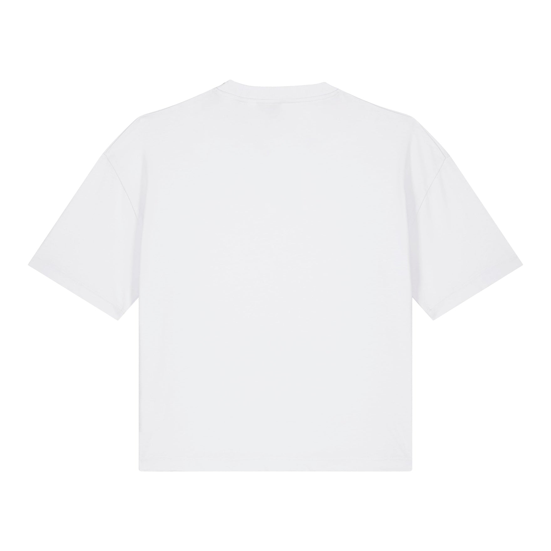 Stanley/Stella Women's Stella Nova Boxy T-Shirt (Sttw175)