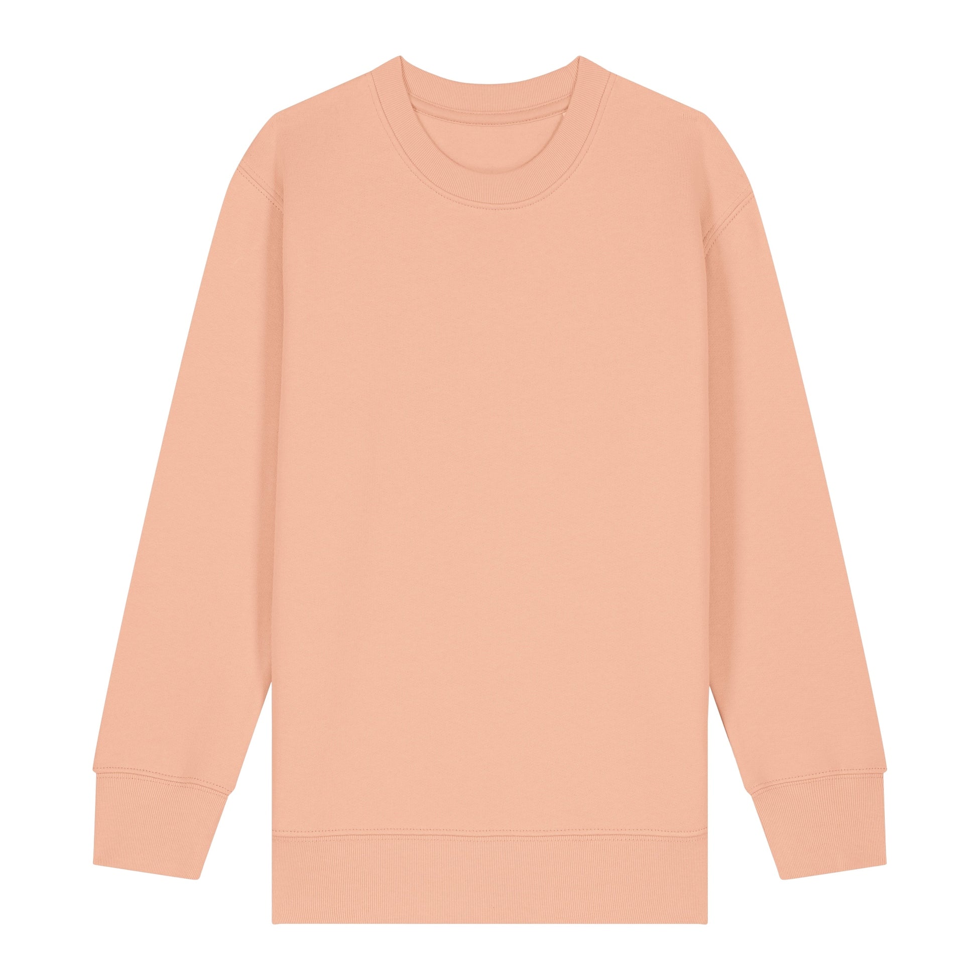 Stanley/Stella Kids Mini Changer 2.0 Iconic Crew Neck Sweatshirt (Stsk181)