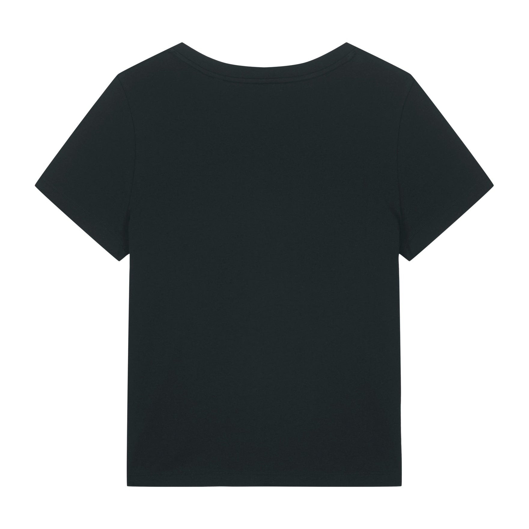 Stanley/Stella Women's Stella Isla V-Neck T-Shirt (Sttw176)