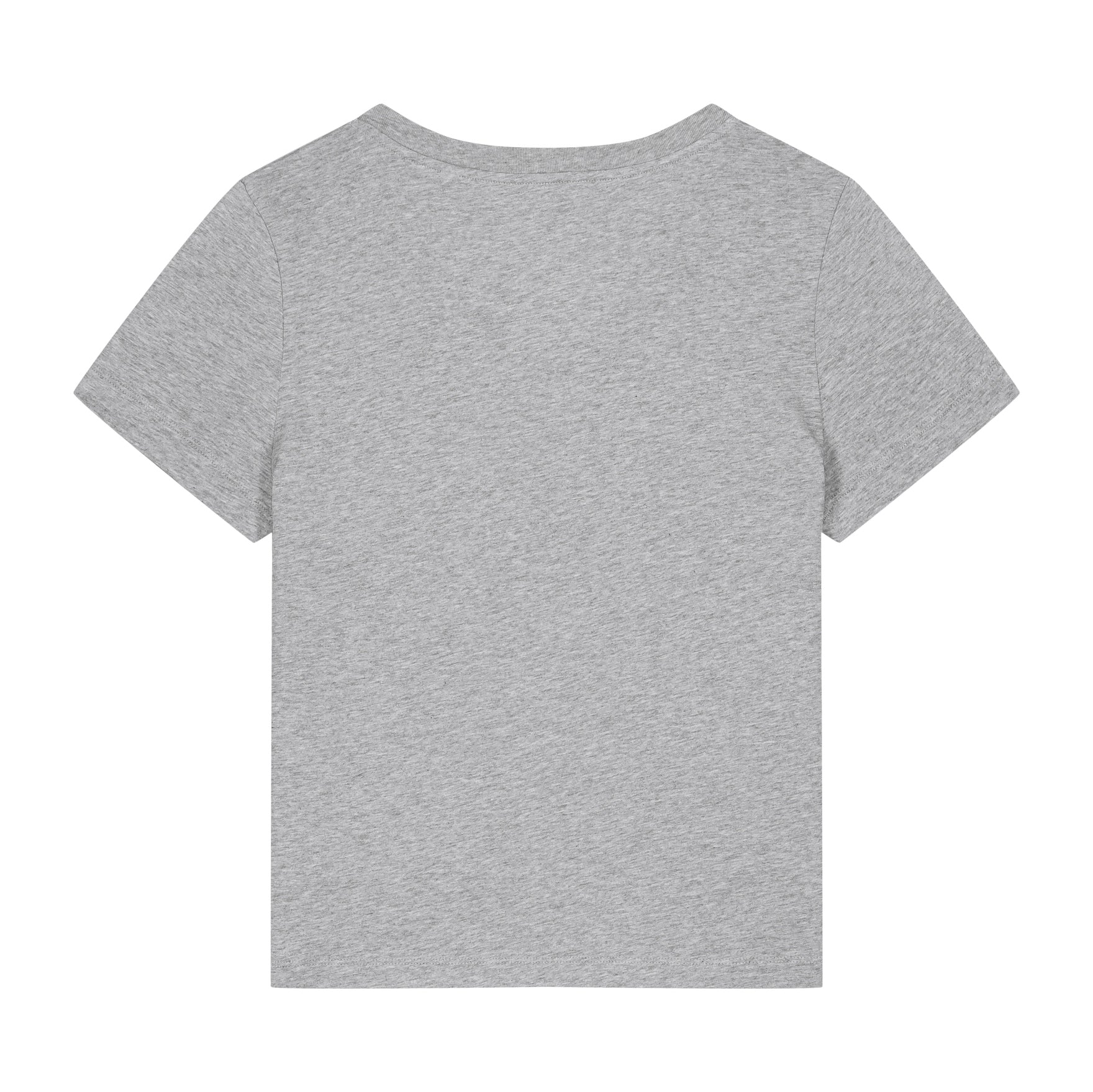 Stanley/Stella Women's Stella Isla V-Neck T-Shirt (Sttw176)