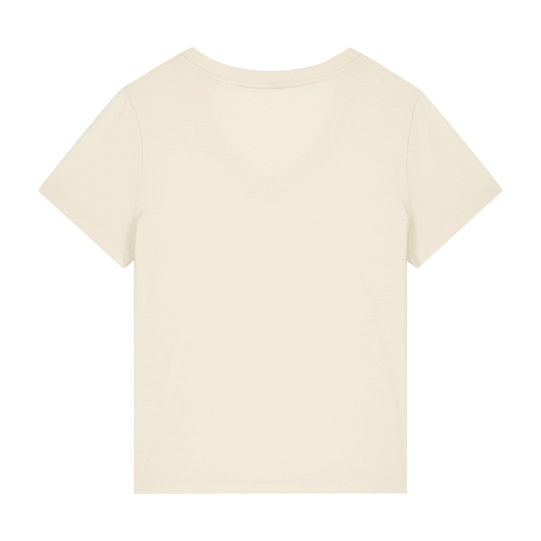 Stanley/Stella Women's Stella Isla V-Neck T-Shirt (Sttw176)