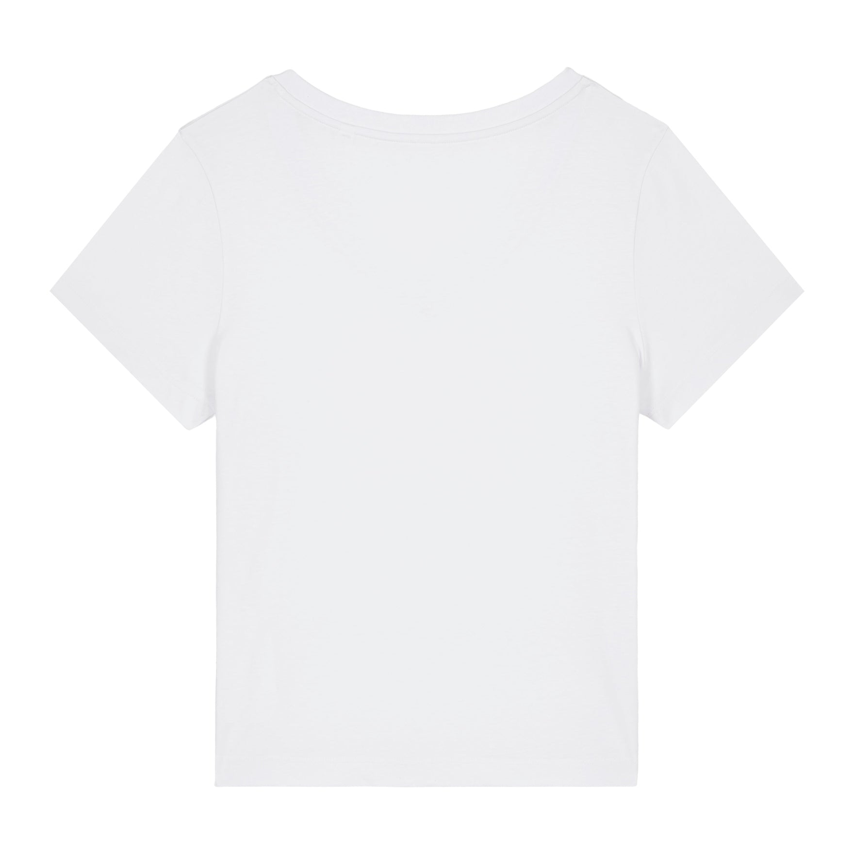 Stanley/Stella Women's Stella Isla V-Neck T-Shirt (Sttw176)