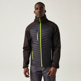 #colour_black-lime-green