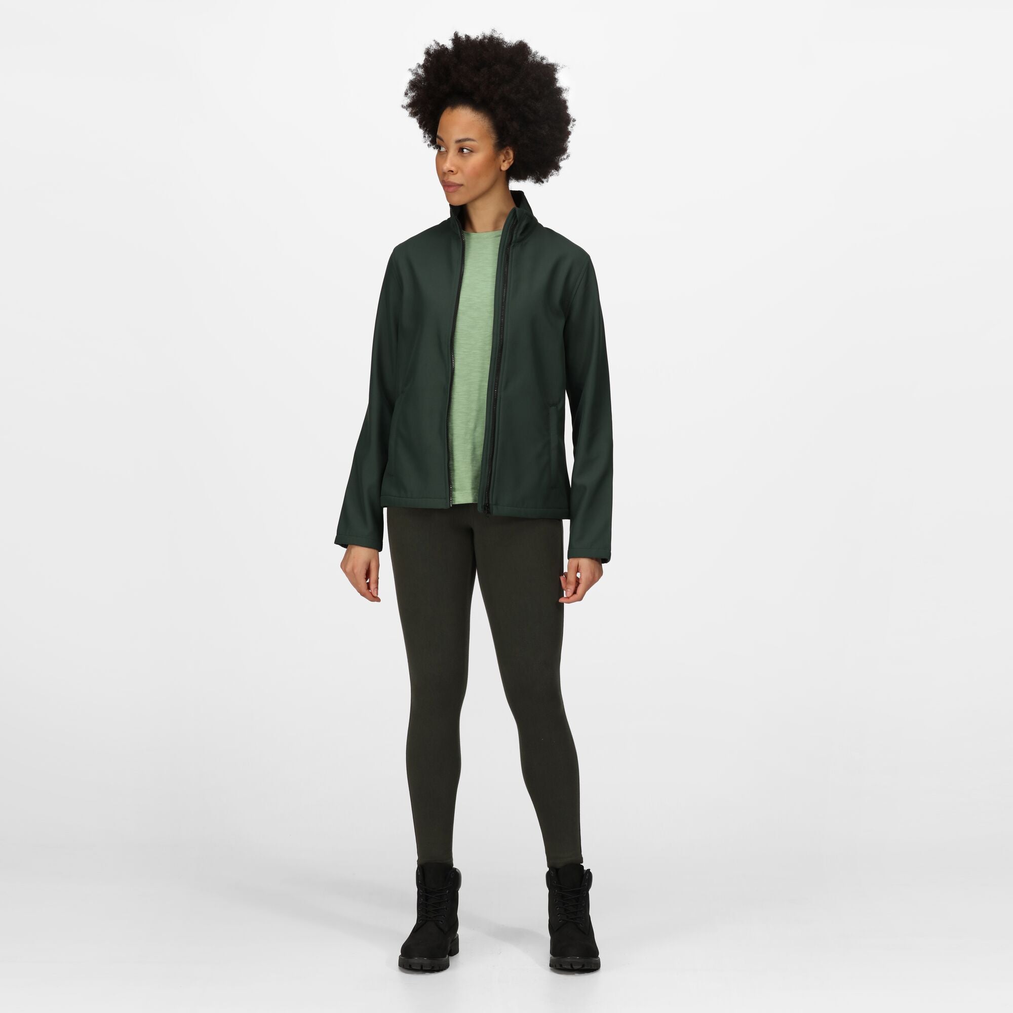 #colour_dark-spruce-black