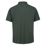 #colour_dark-green