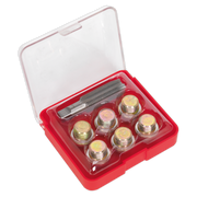 Sealey Oil Drain Plug Thread Repair Set - M17
