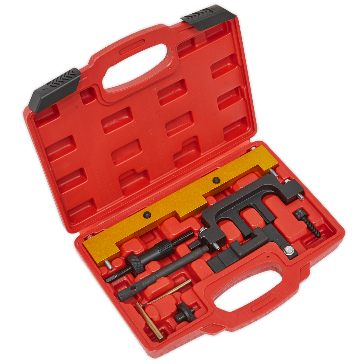Sealey Petrol Engine Timing Tool Kit - for BMW 1.8/2.0 N42/N46/N46T - Chain Drive