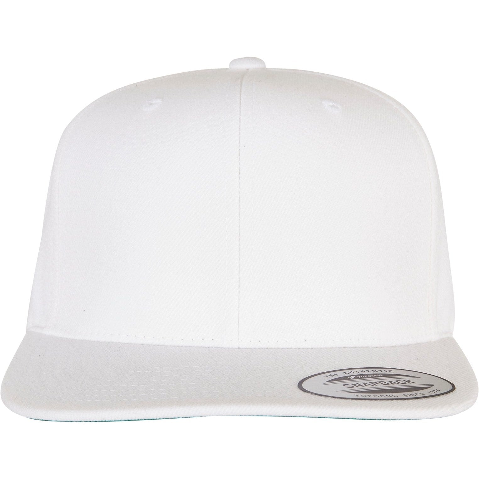Flexfit By Yupoong The Classic Snapback (6089M)