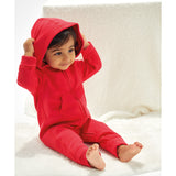 Babybugz Baby And Toddler All-In-One