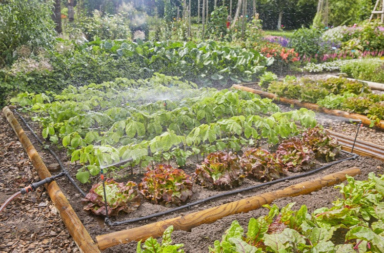 Gardena Start Set for veget.&Flower patches