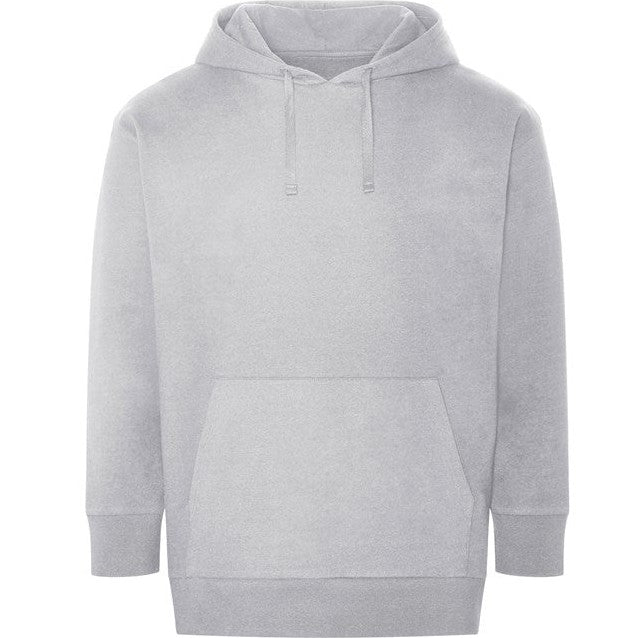 Awdis Ecologie Crater Recycled Hoodie