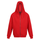 #colour_classic-red