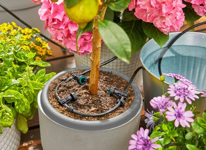 Gardena AquaBloom Set