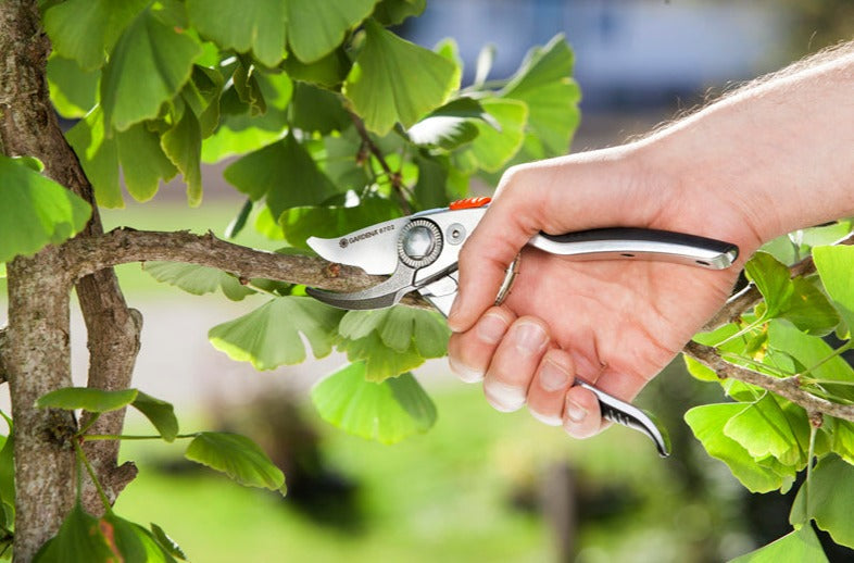 Gardena Premium Secateurs B+/L 1