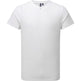 Premier Men's Cotton Rich Comis Tee