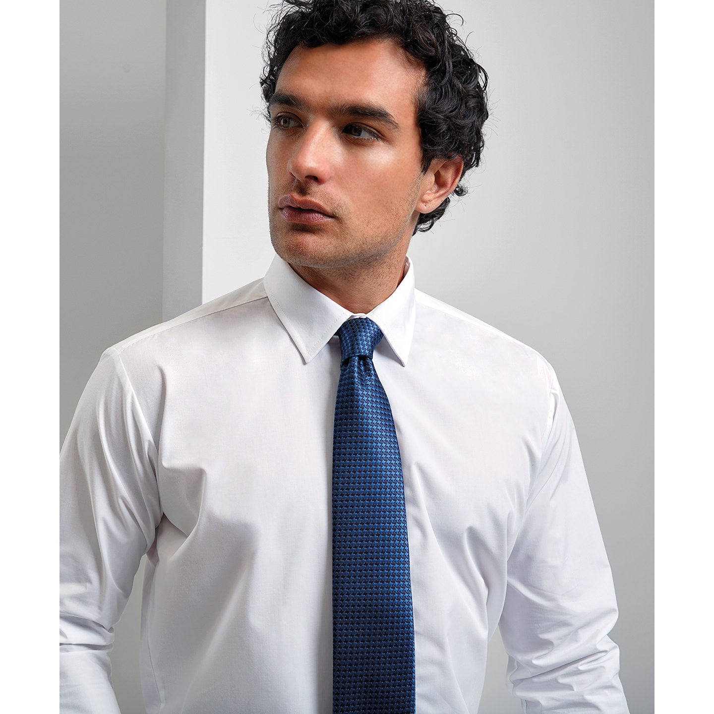 Premier Puppy Tooth Tie