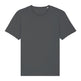 Stanley/Stella Imaginer, The Unisex Raw Edge T-Shirt (Sttu647)