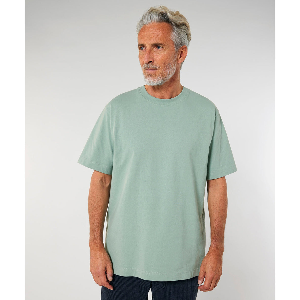 Stanley/Stella Freestyler Relaxed Heavy T-Shirt (Sttu788) - Aloe